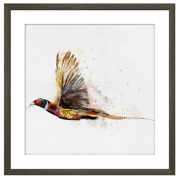 PHEASANT FRAMED PICTURE set of 2, 50X50CM reduced for Instore pick up