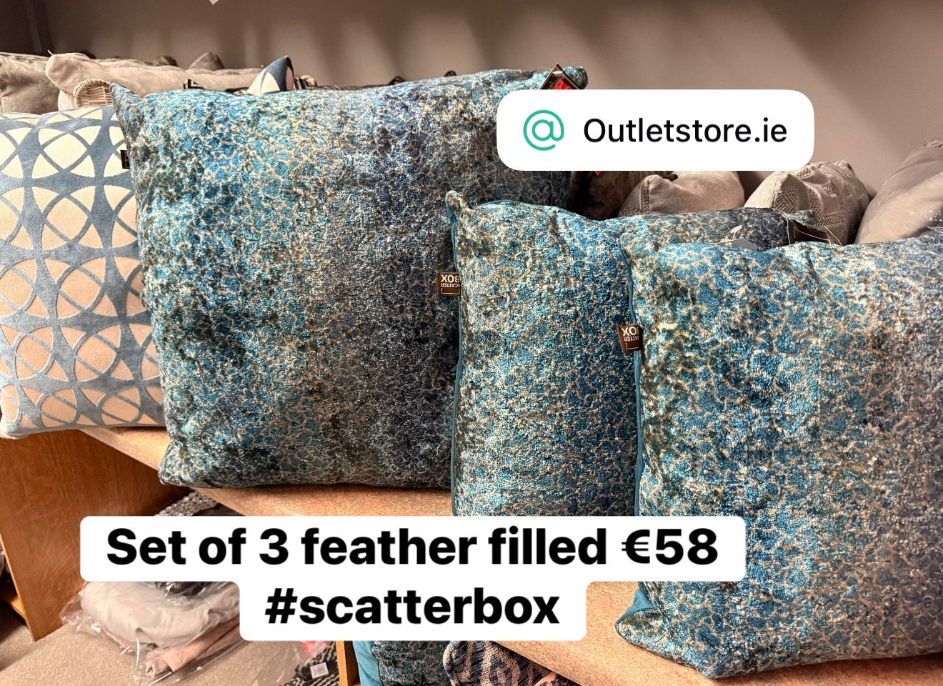Cushions by Scatterbox Malini less than half price . Instore only by Scatterbox