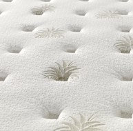 Aloe Vera Paradise Serenity Sleep Mattress-roll out mattress-Renaissance Design Studio