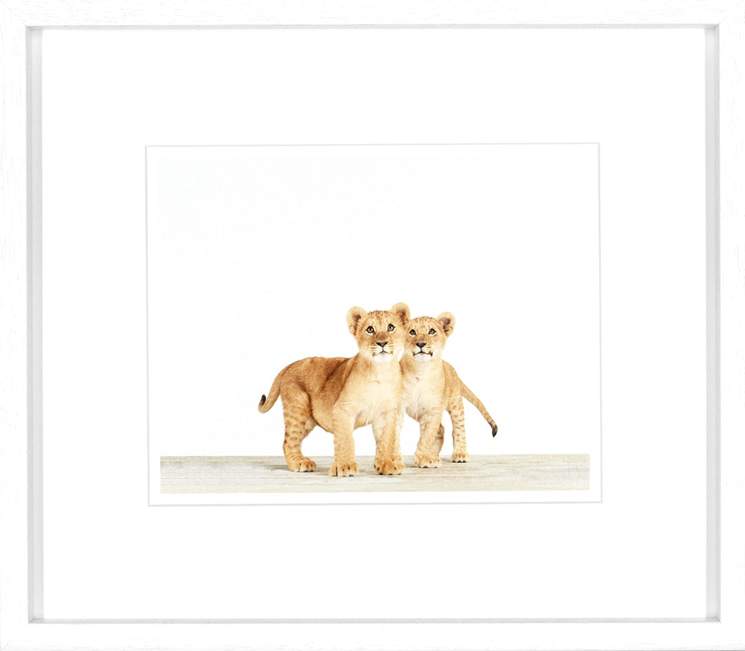 Animal Prints 1 framed wall art set of 4-Renaissance Design Studio