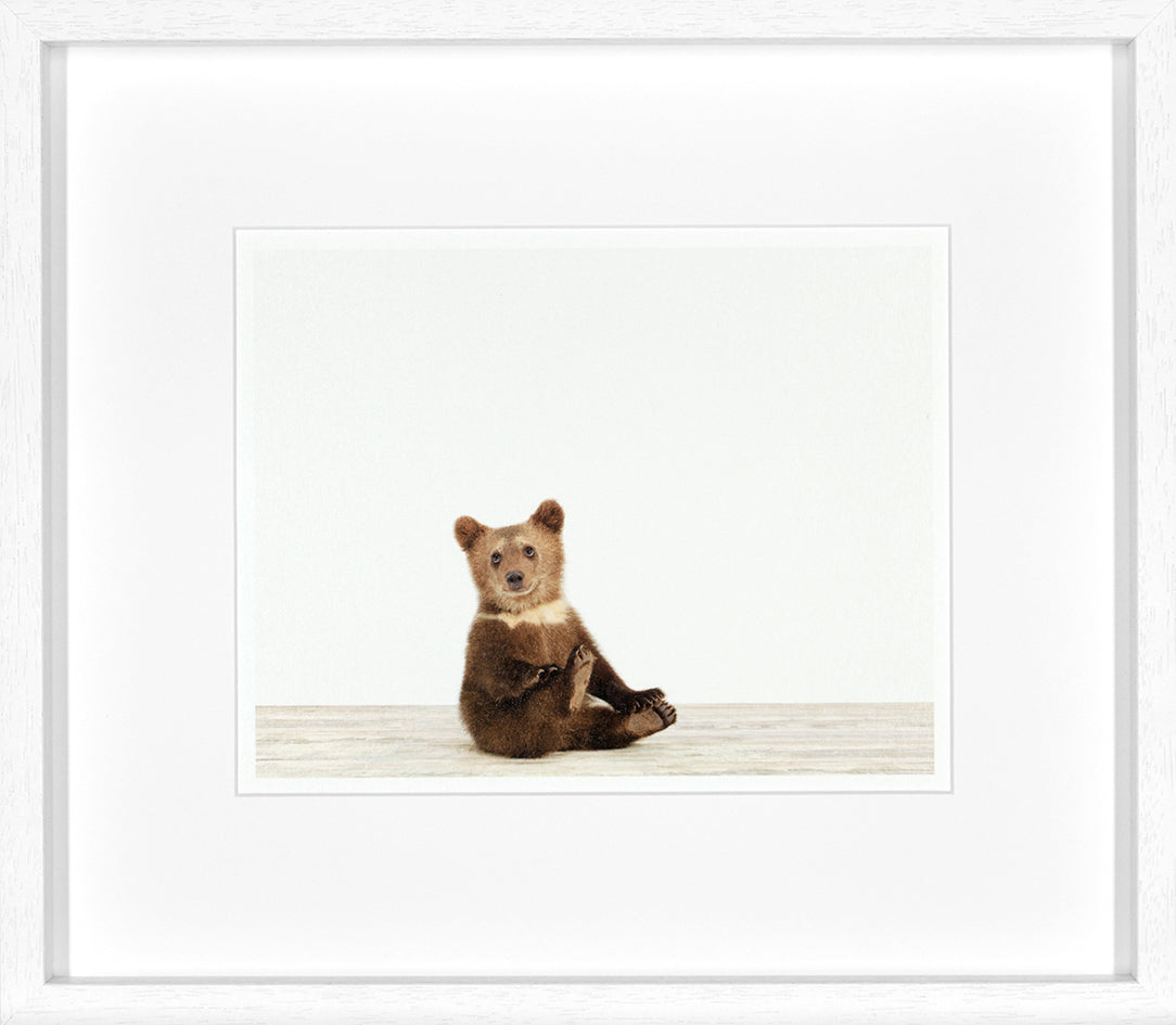 Animal Prints 1 framed wall art set of 4-Renaissance Design Studio