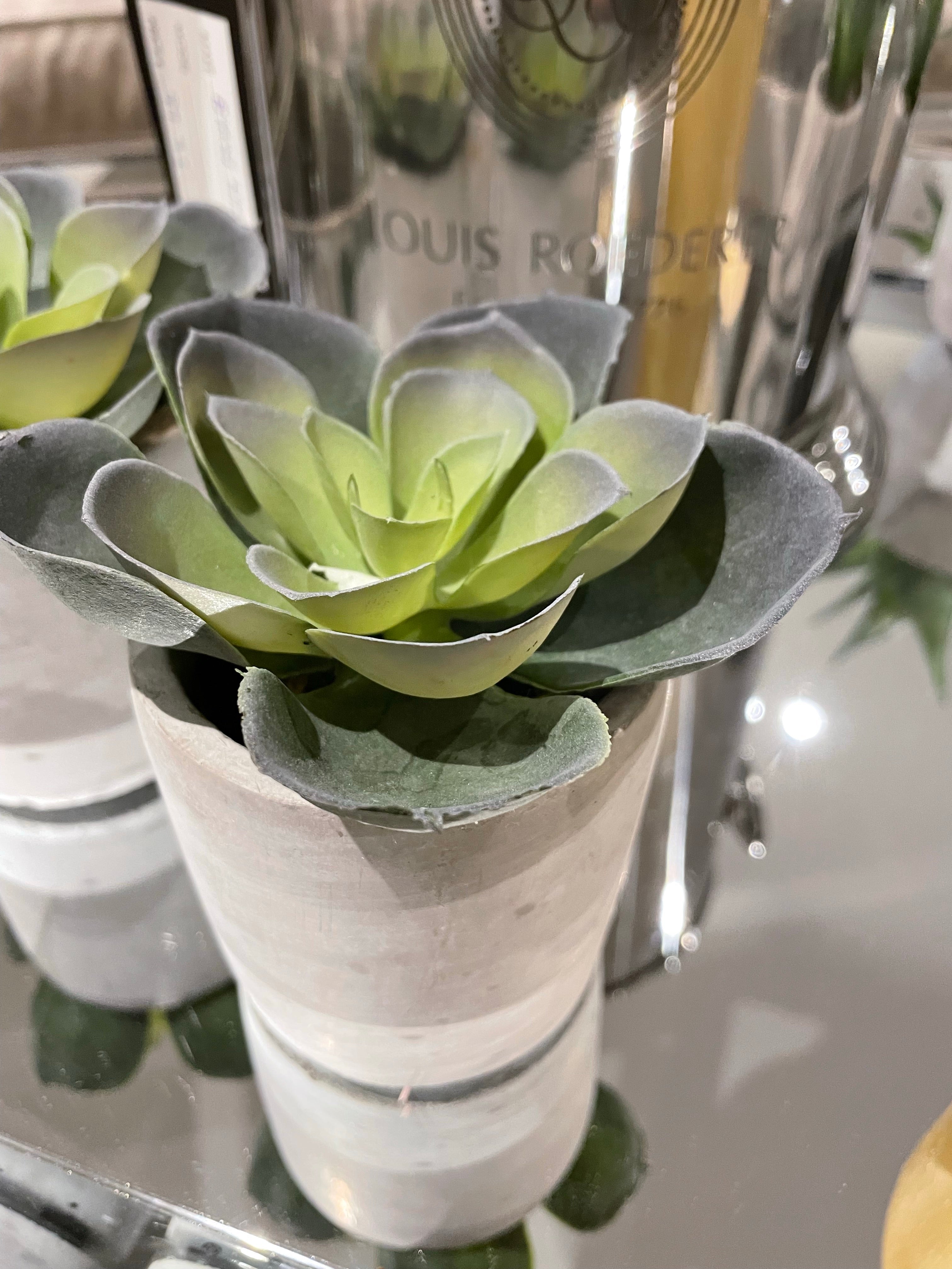 Artificial Aloe Plant in pot-Plants-Renaissance Design Studio