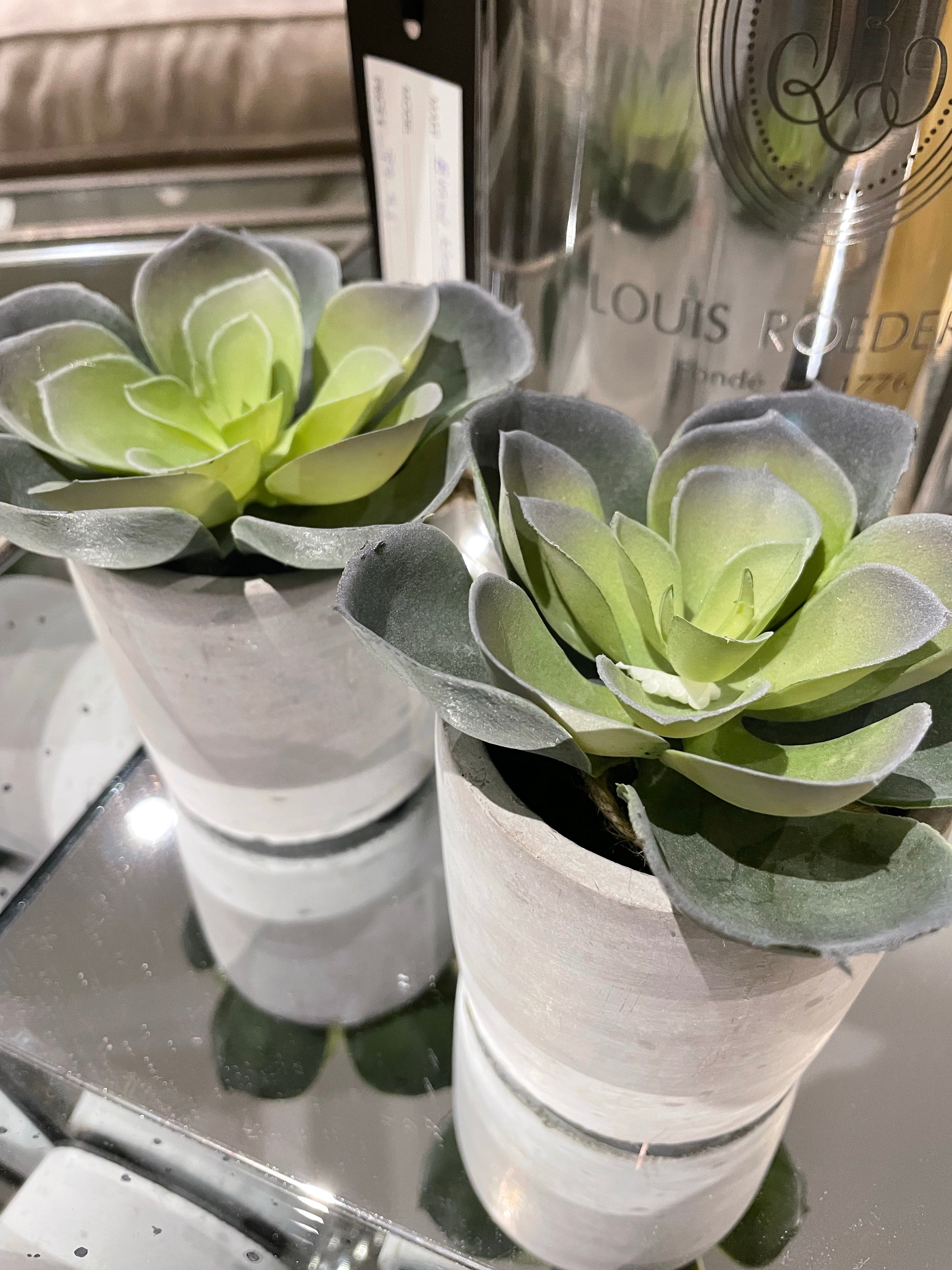 Artificial Aloe Plant in pot-Plants-Renaissance Design Studio