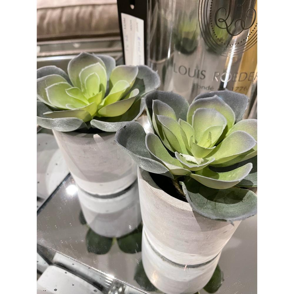 Artificial Aloe Plant in pot-Renaissance Design Studio