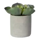 Artificial Aloe Plant in pot-Renaissance Design Studio