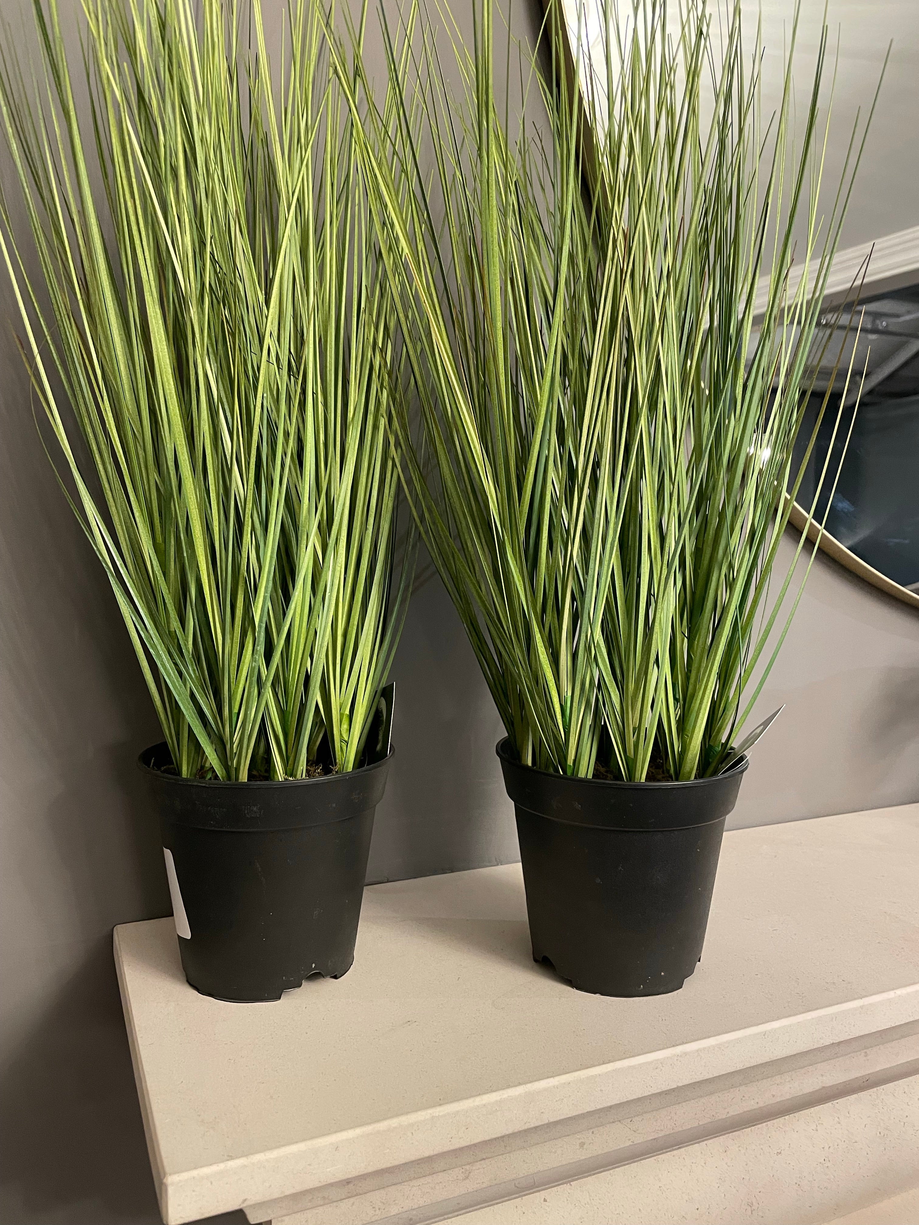 Artificial Grass in Pot-Plants-Renaissance Design Studio