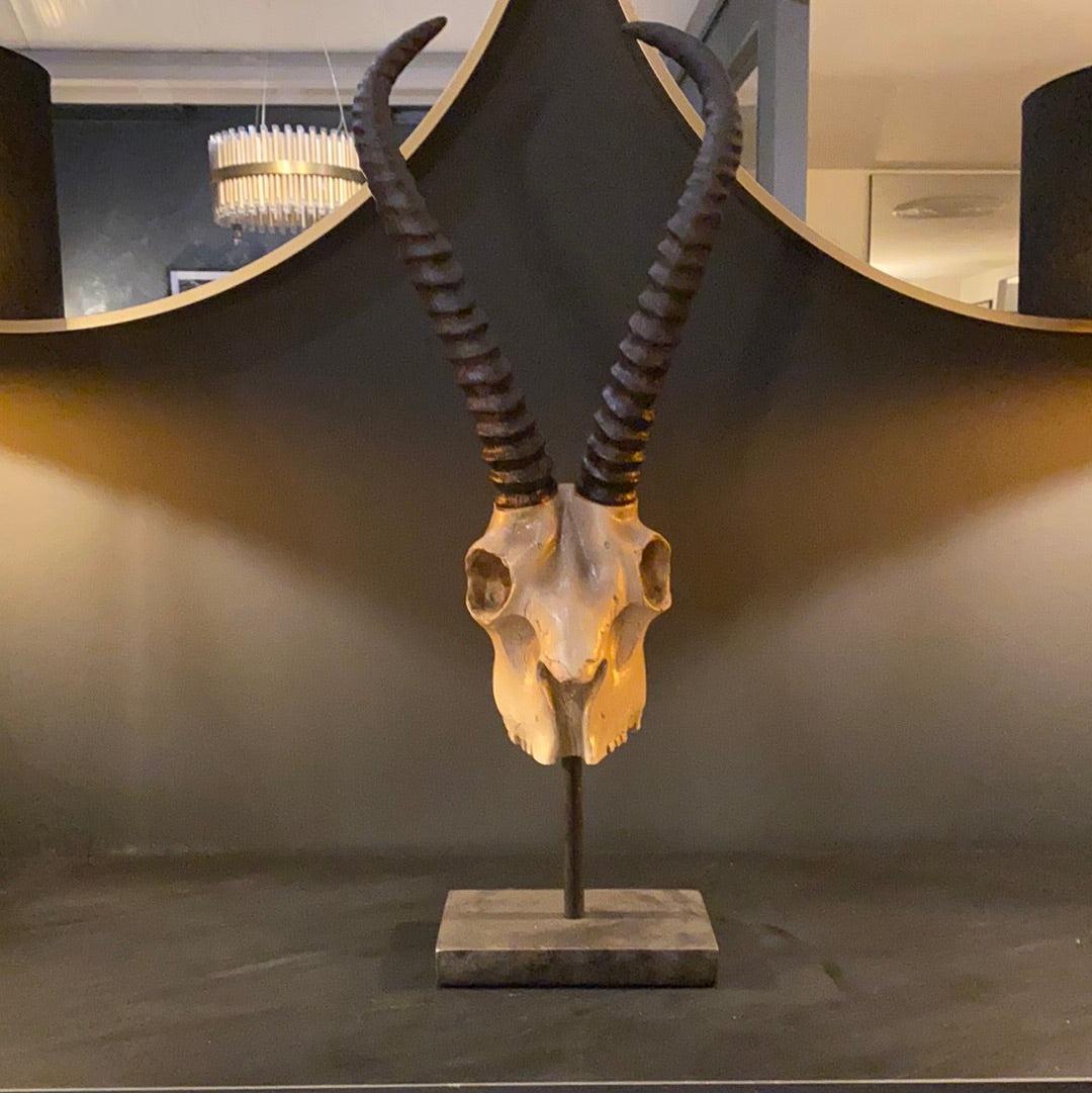 Camden Club Skull sculpture-Sculptures & Statues-Renaissance Design Studio