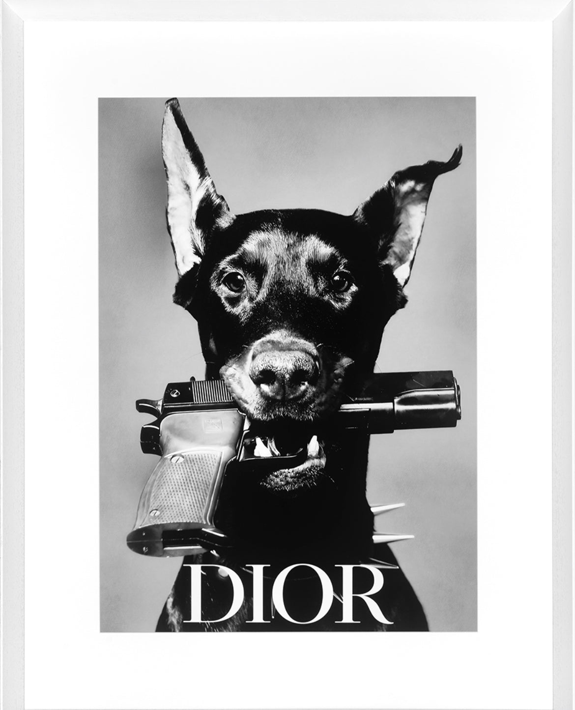 Dior Dog Framed Exclusive Prints-Renaissance Design Studio