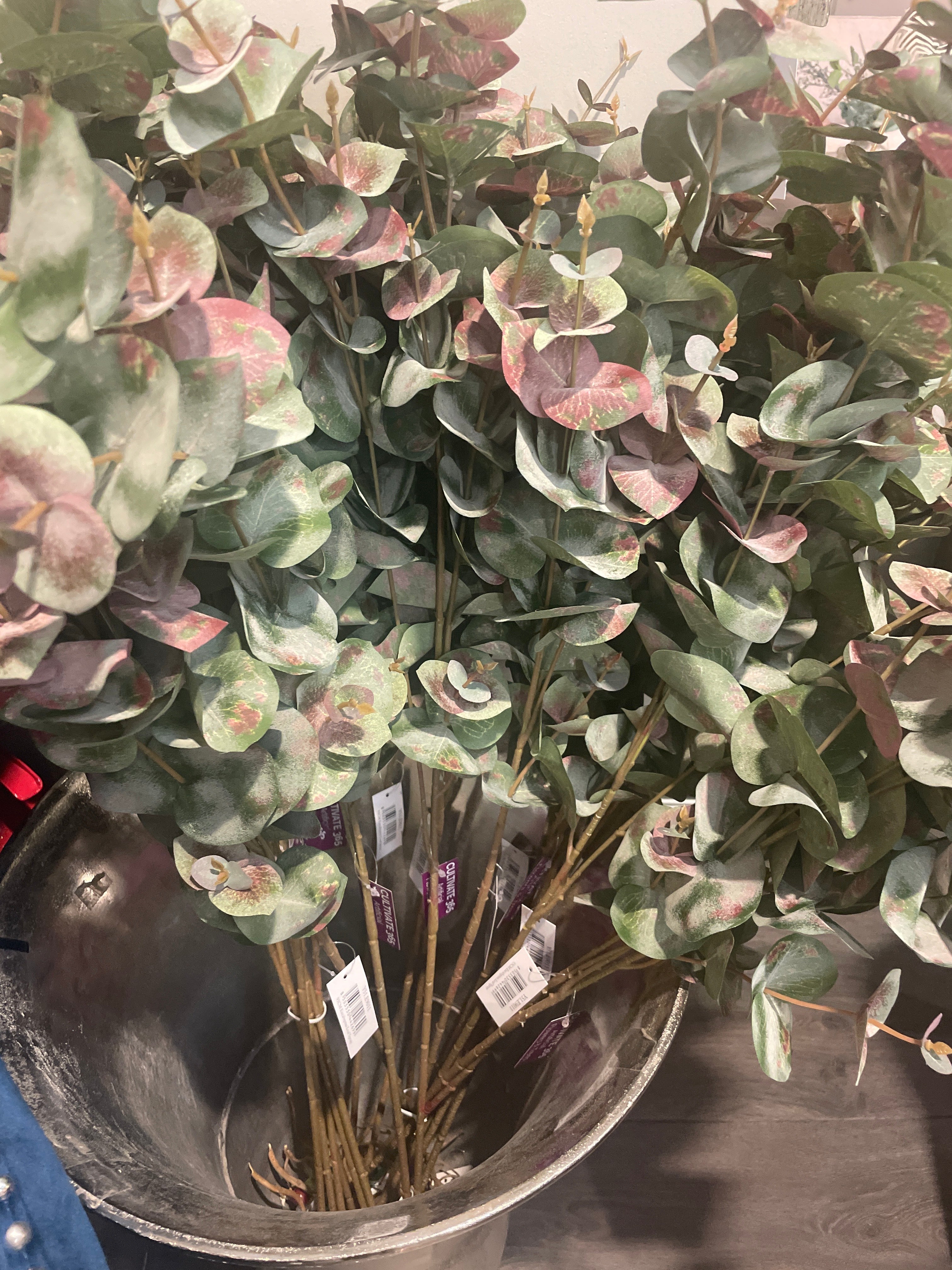 Eucalyptus leaf spray 93 cm per stem-Renaissance Design Studio