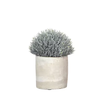 GARRIGUE artificial plant pvc - DIA 10 x H 14 cmArtificial Plant pot SALE PRICE
