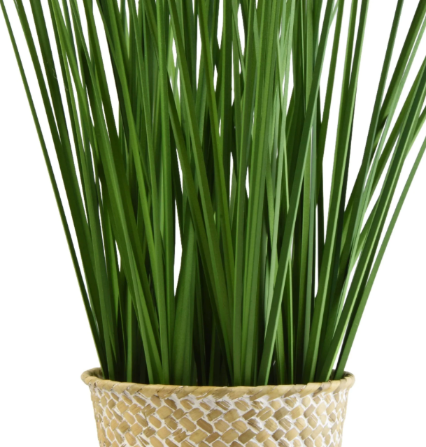 Green Grass in natural Rattan Basket-Renaissance Design Studio