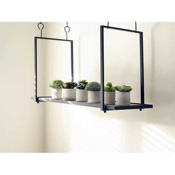 Jungle Garrigue Plant in Pot-Renaissance Design Studio