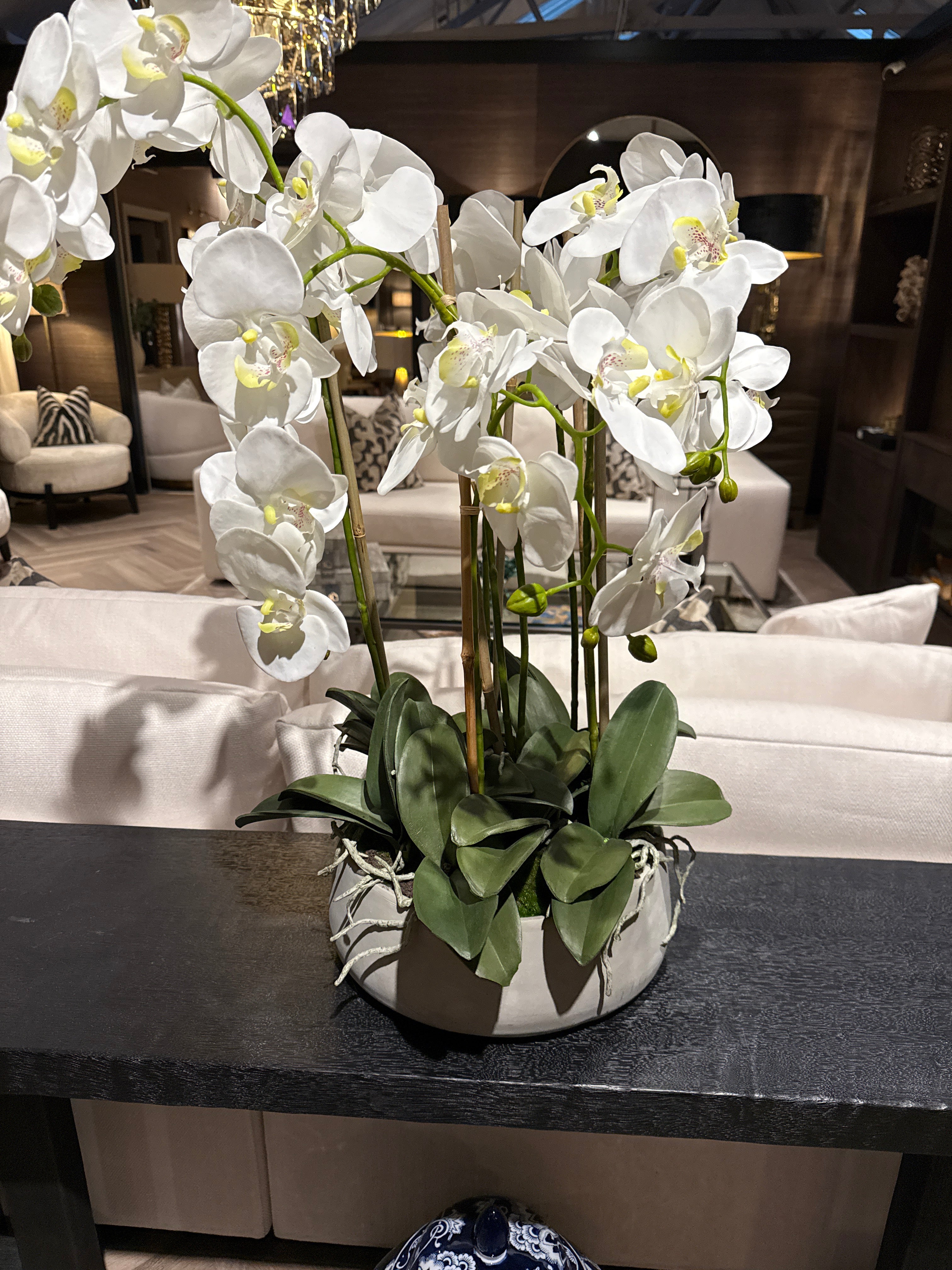 Large White Orchids In Stone Pot-Renaissance Design Studio