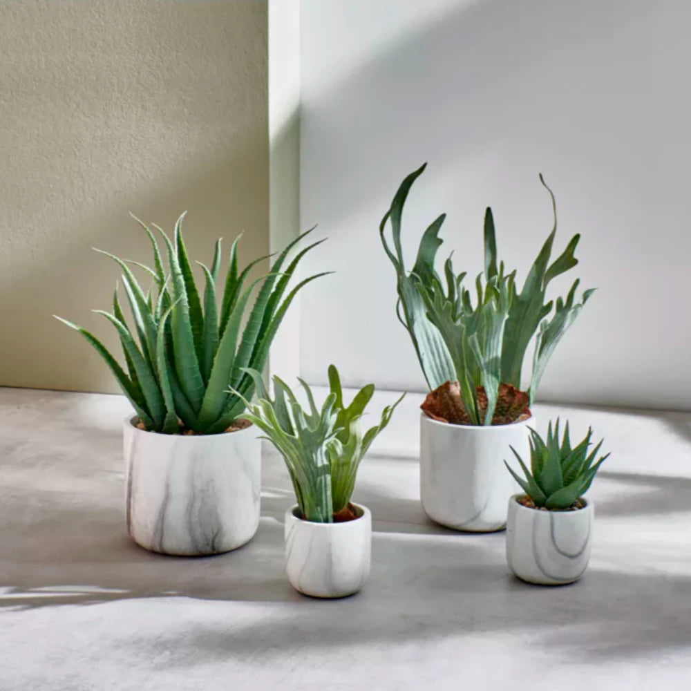 Marmara artificial plant small REDUCED-Renaissance Design Studio