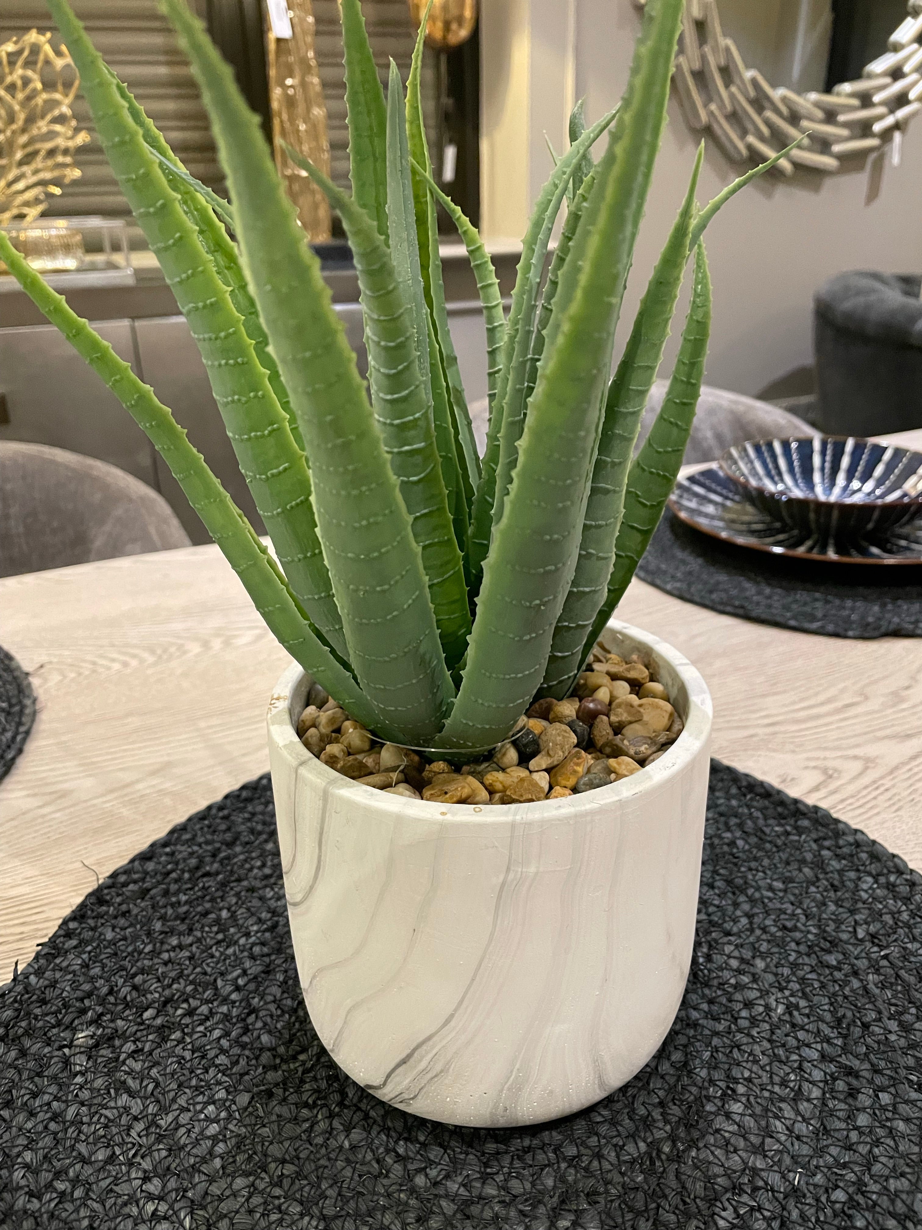 Marmara large plant in pot-Renaissance Design Studio