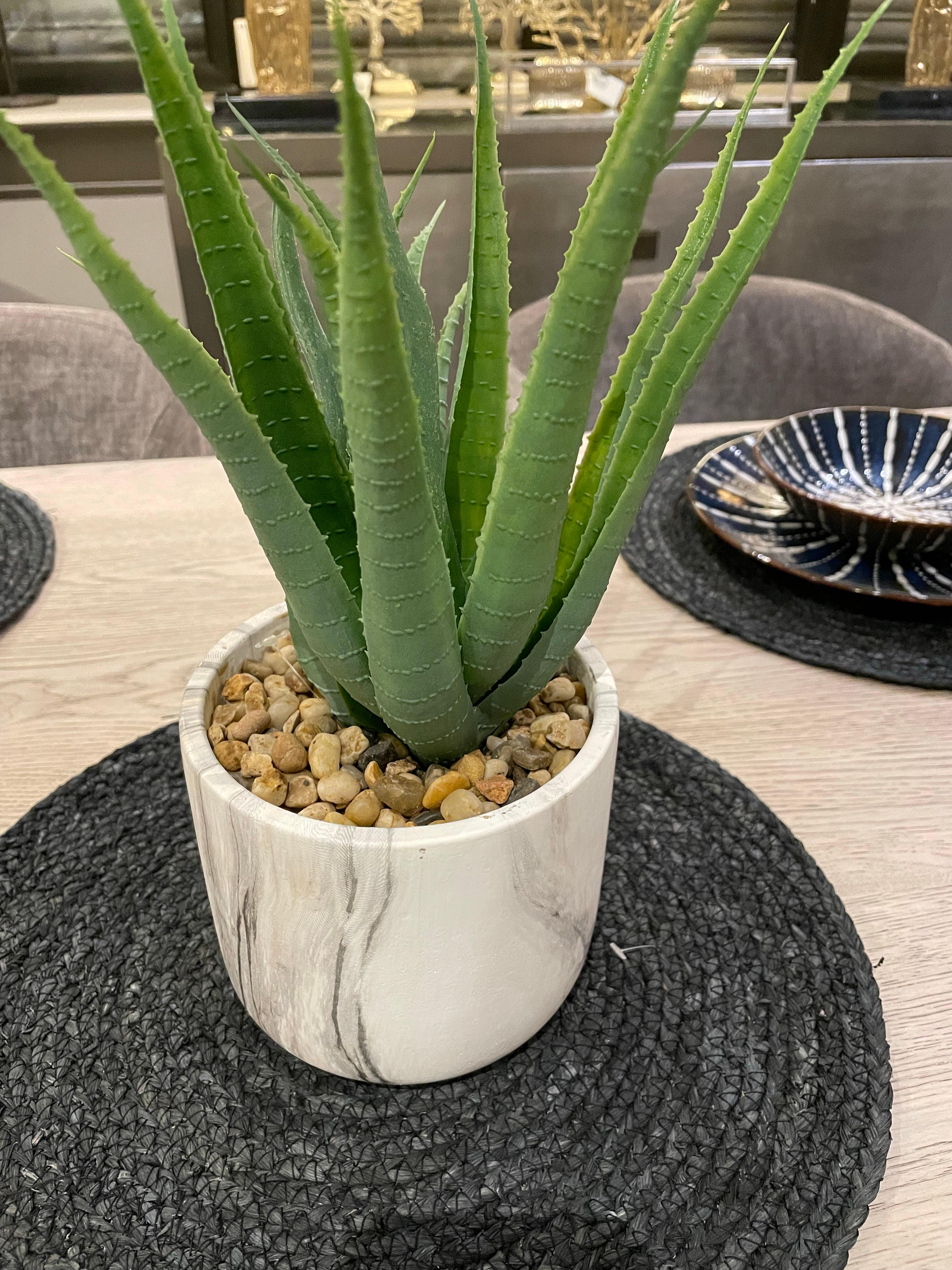 Marmara large plant in pot-Renaissance Design Studio