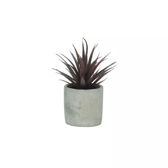 Marmara large plant in pot-Renaissance Design Studio
