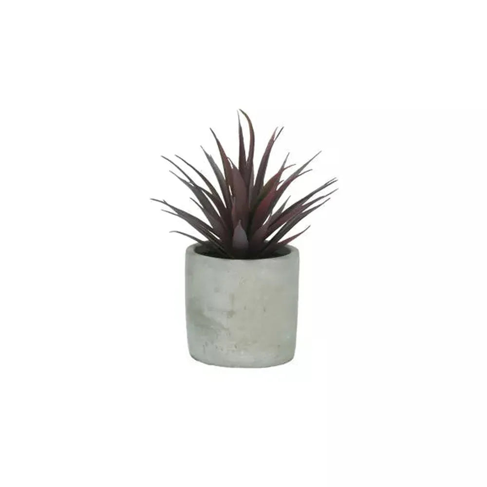 Marmara large plant in pot-Renaissance Design Studio