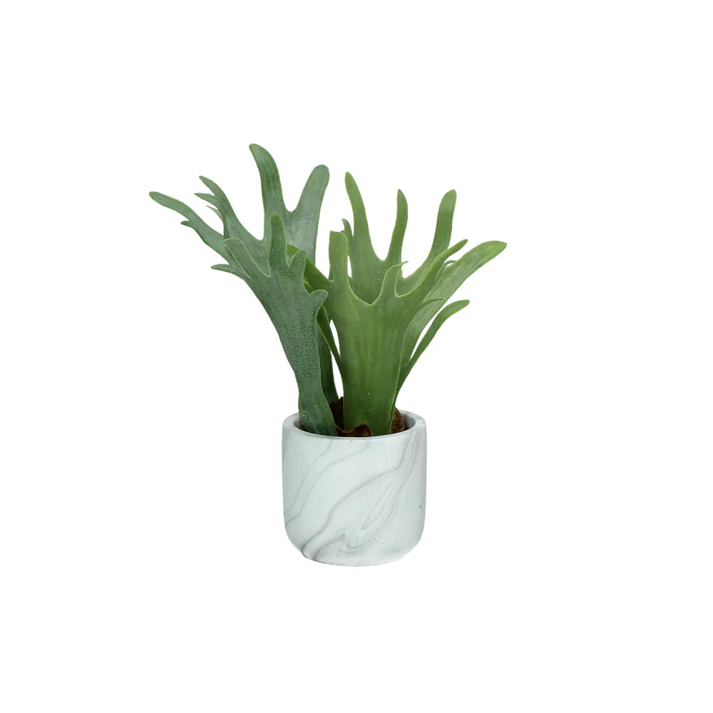 MARMURA artificial plant synthetic cement DIA 8 x H 22 cm-Renaissance Design Studio