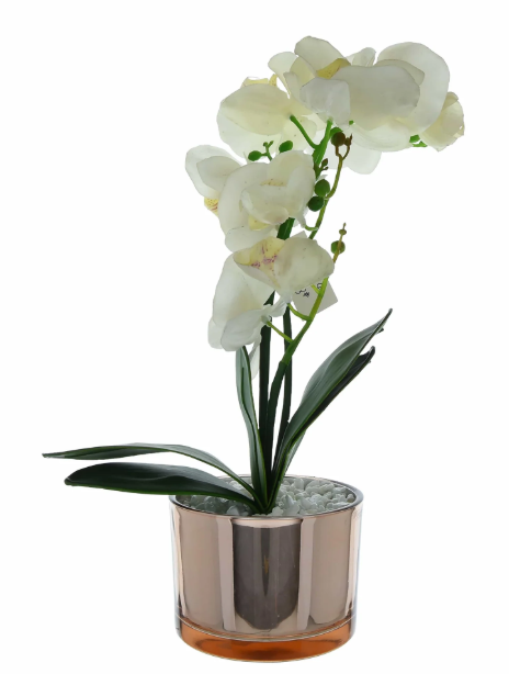 Orchid 40cm Glass pot cream and gold-Renaissance Design Studio