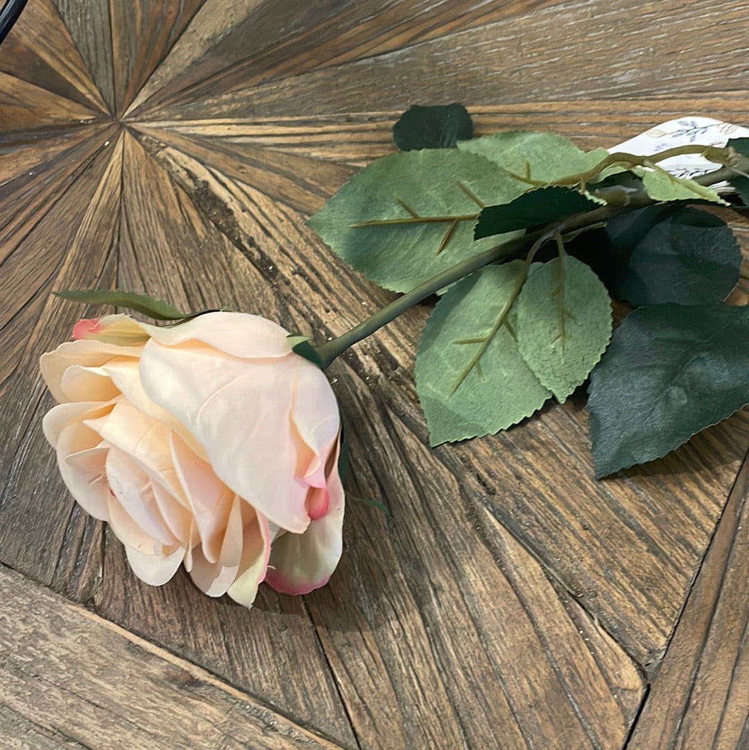 pink long stemmed rose-Renaissance Design Studio