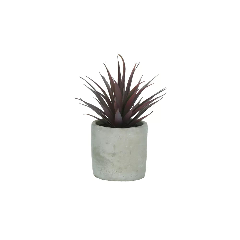 Purple Jungle Plant in cement pot-Renaissance Design Studio