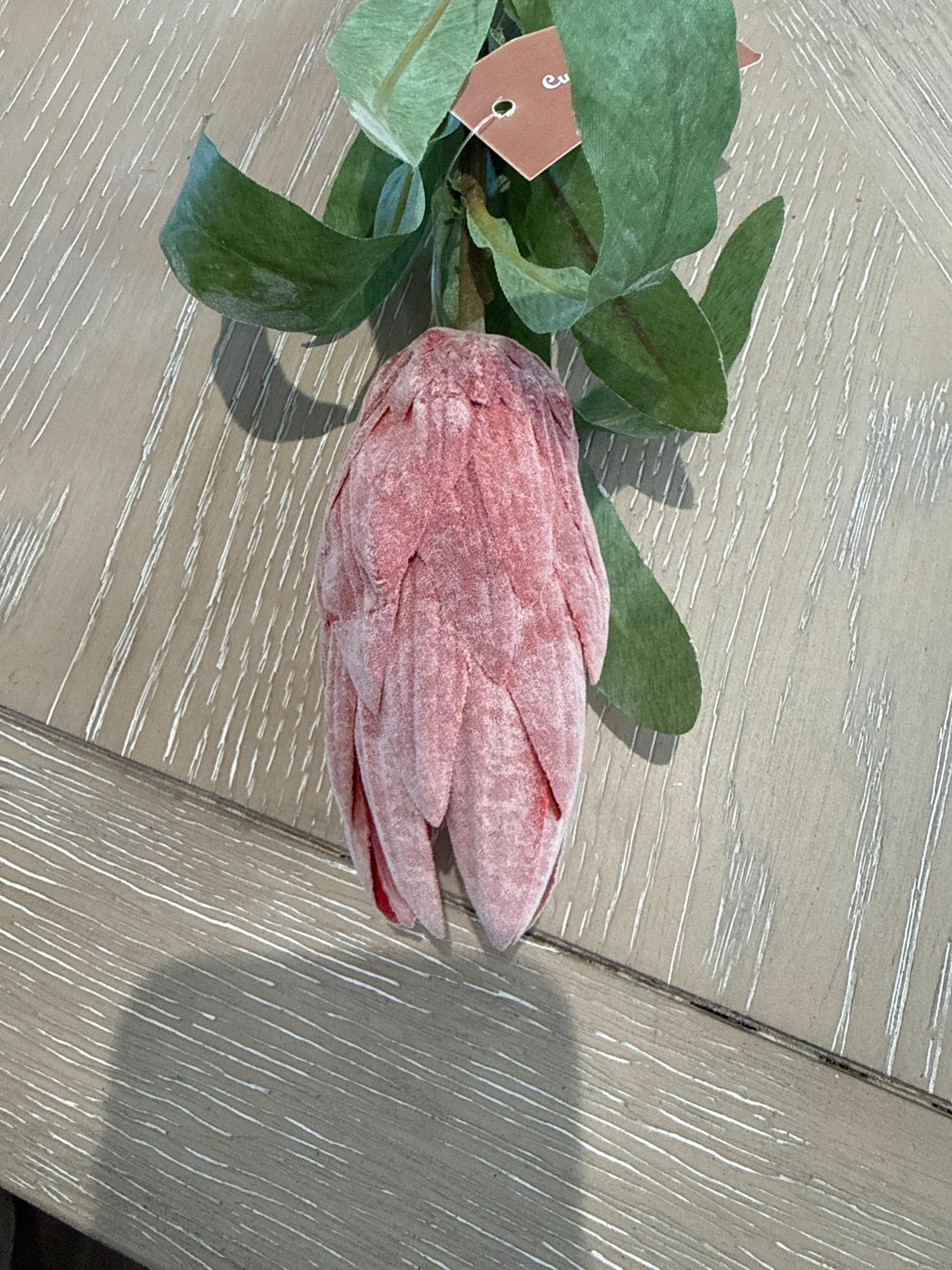Protea single stem pink-faux plants-Renaissance Design Studio
