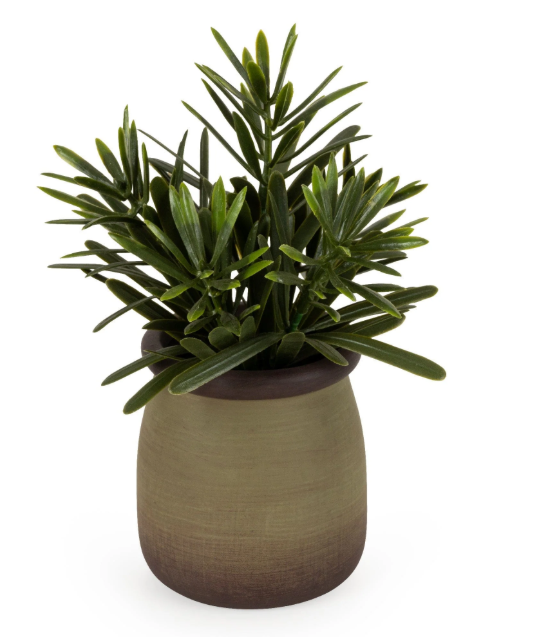 Rosemary in Green Pot-Renaissance Design Studio