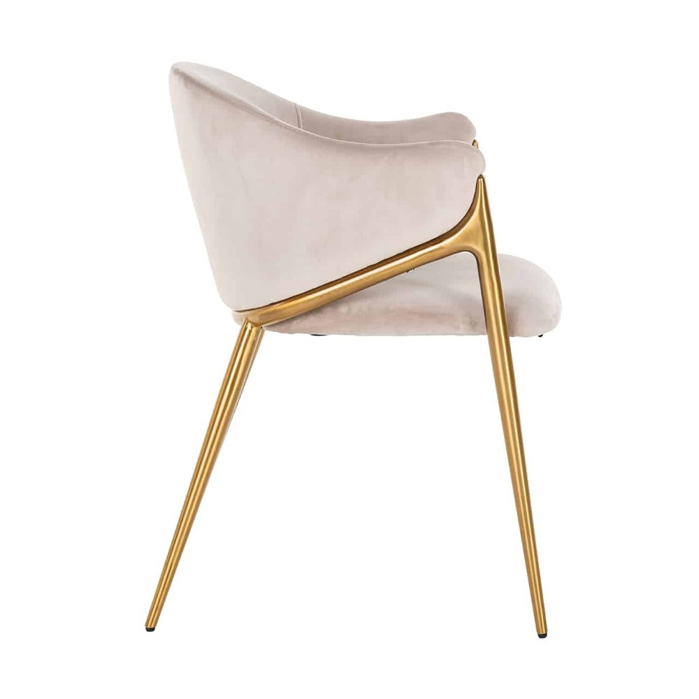 Stefani Dining Chair in Khaki Velvet or black velvet-Renaissance Design Studio