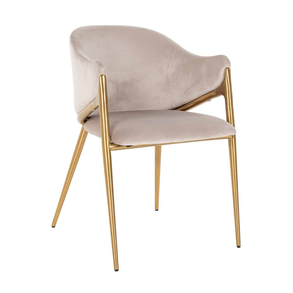 Stefani Dining Chair in Khaki Velvet or black velvet-Renaissance Design Studio