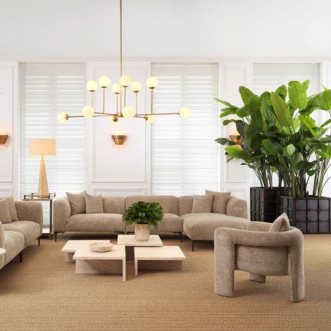 Toto armchair in cream boucle or Lyssa sand by Eichholtz-Renaissance Design Studio