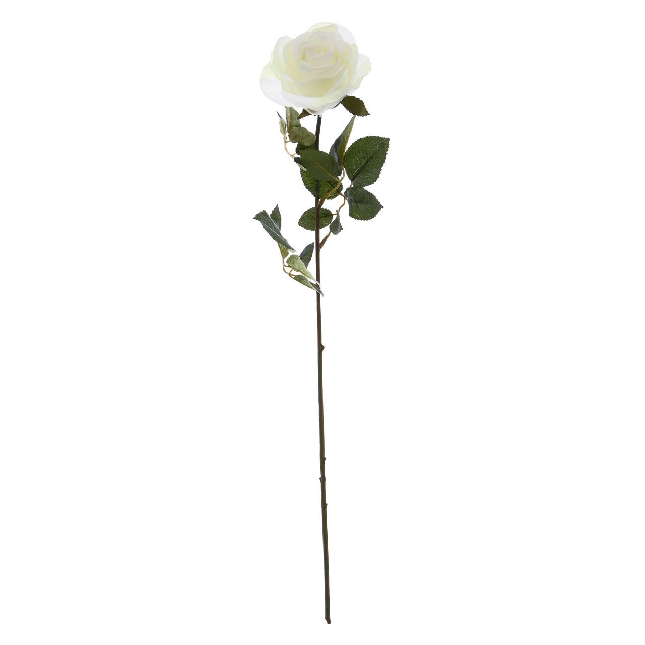 White Rose Fiori Stem real live look-Renaissance Design Studio
