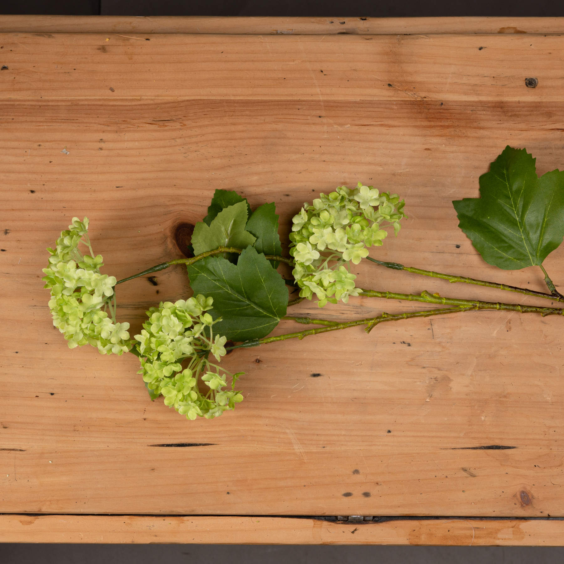 Green Vibernum Spray per stem
