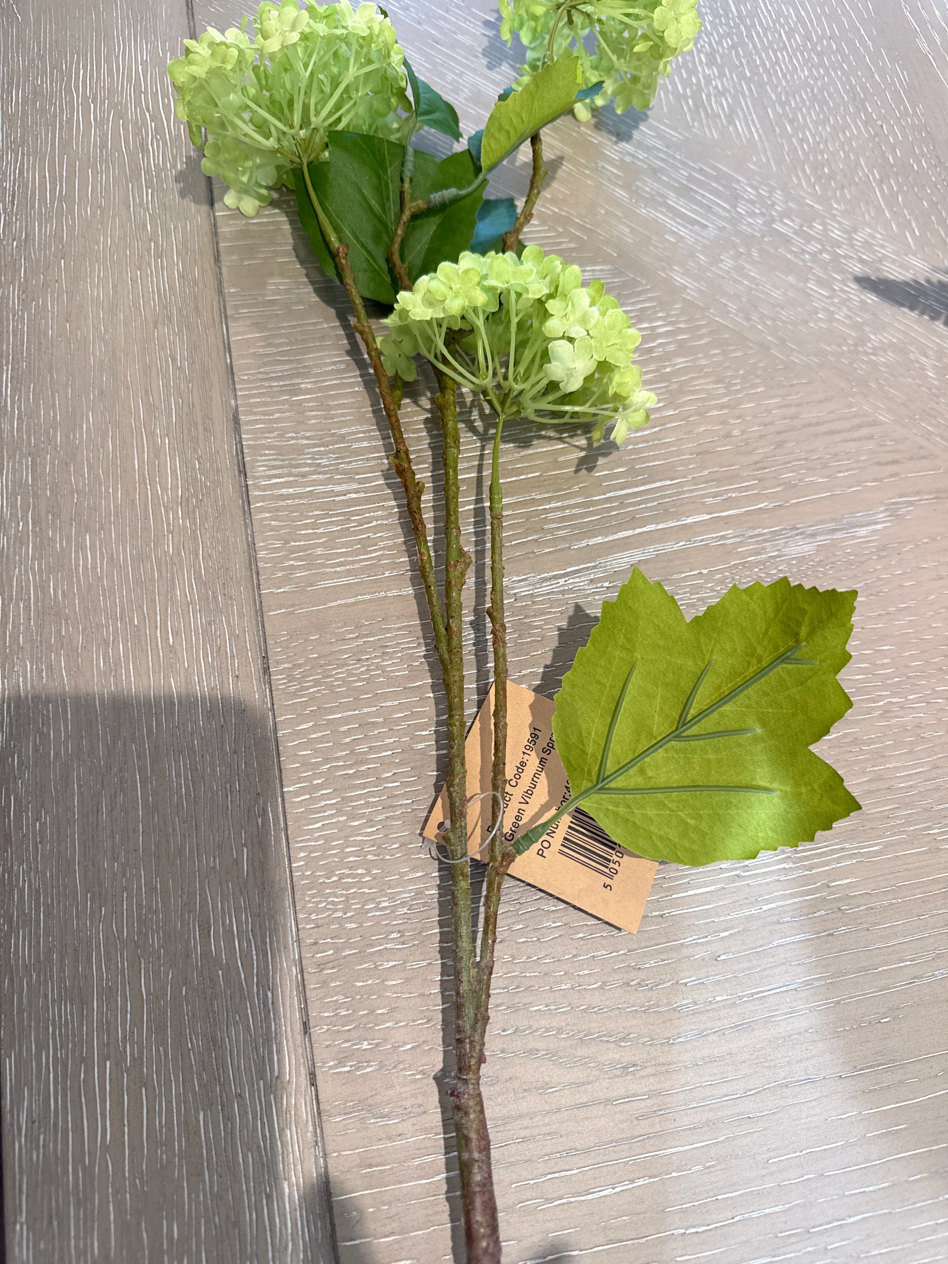 Green Vibernum Spray per stem reduced
