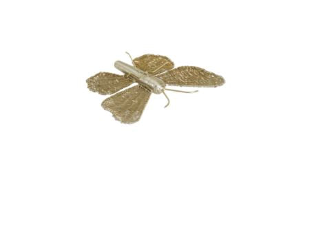 Wall Ornament Butterfly