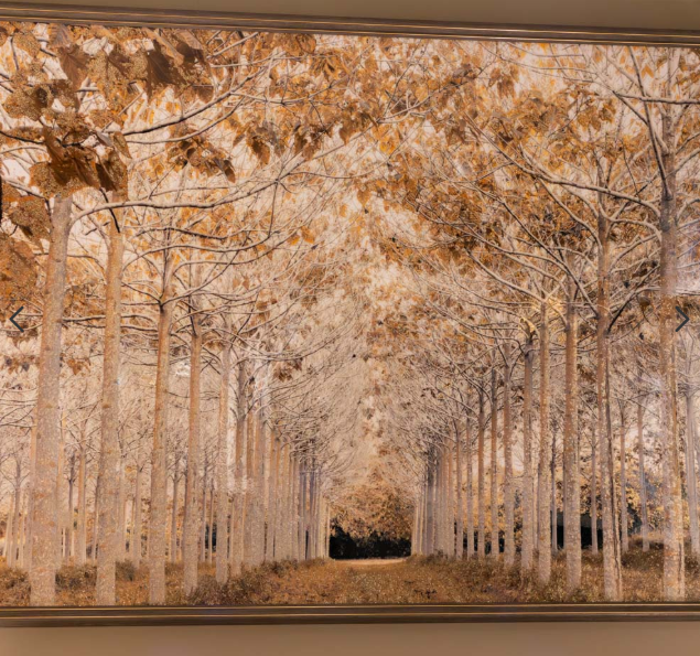 Avenue Of Trees Artwork