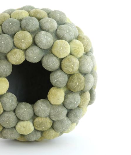 Vase Deco Sea Urchin