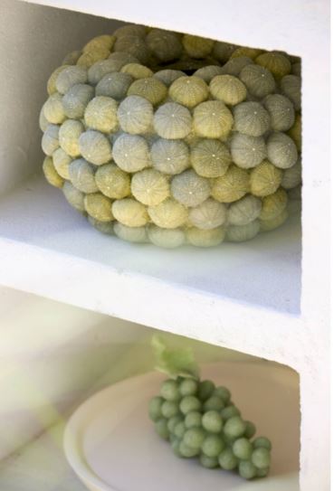 Vase Deco Sea Urchin