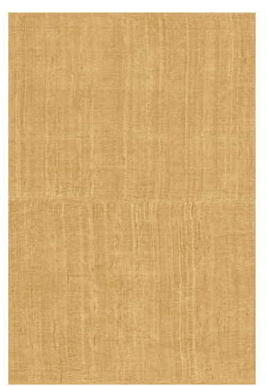 Katan Silk Designer Wallpaper By Arte