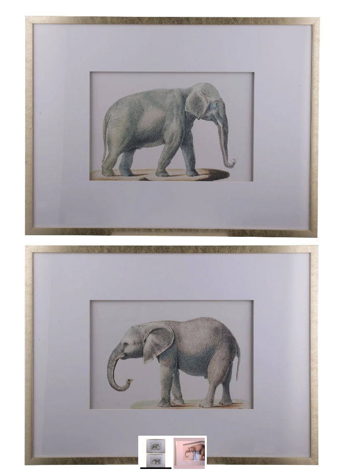 Elephant Art Work Set of 2