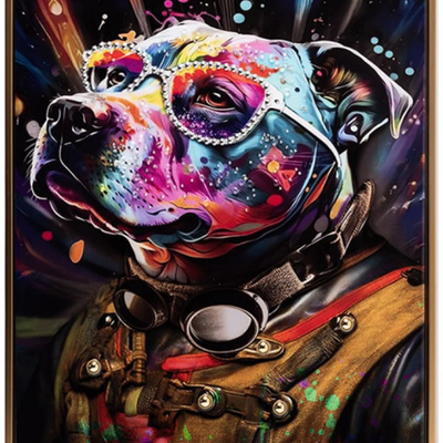 Pitbull Portrait