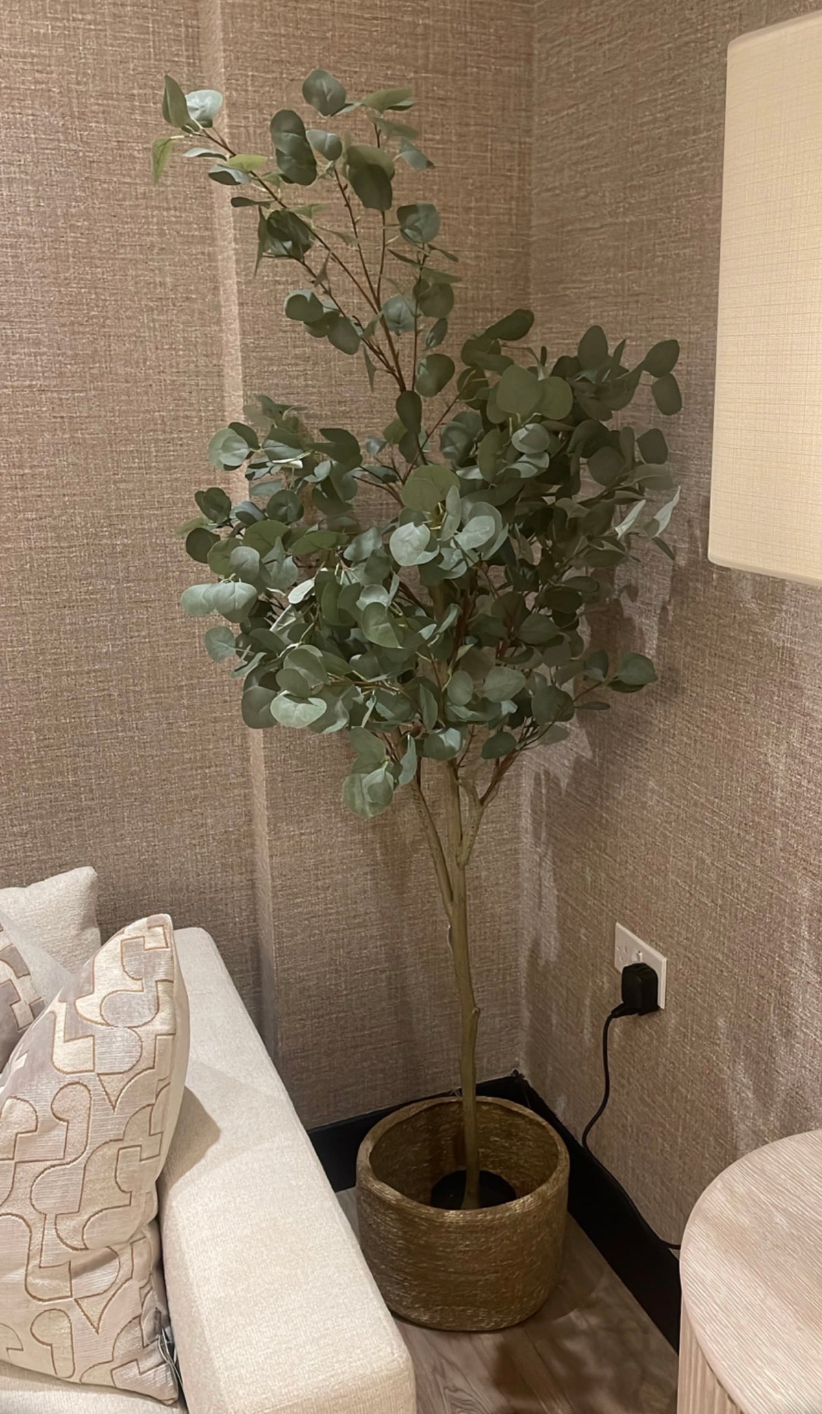 Eucalyptus tree 185 cm by Elmes