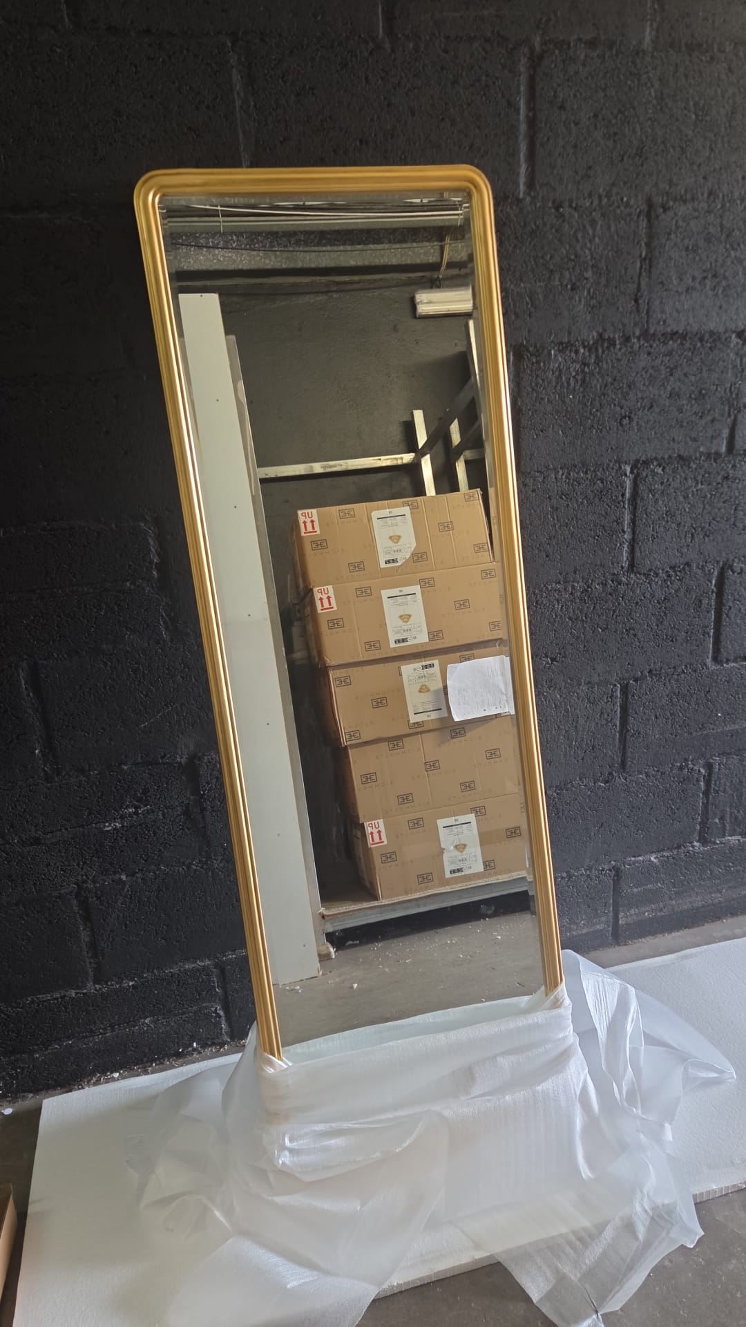 Dellla Large Gold Bevelled Mirror 54.5x162.5cm by MacQuillan