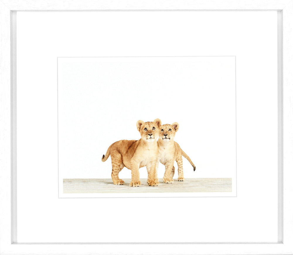 Animal Prints 1 framed wall art set of 4