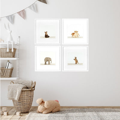 Animal Prints 1 framed wall art set of 4