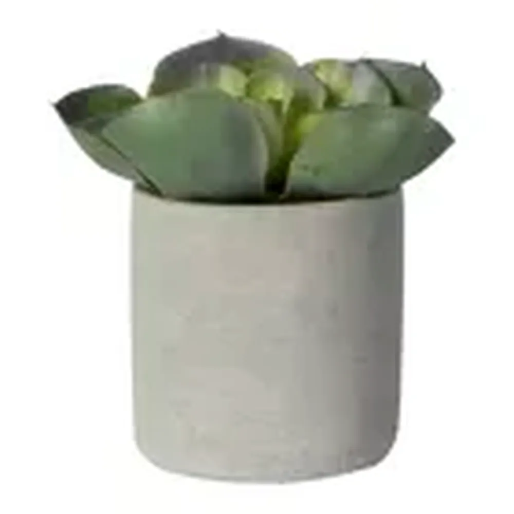 Artificial Aloe Plant in pot-Renaissance Design Studio