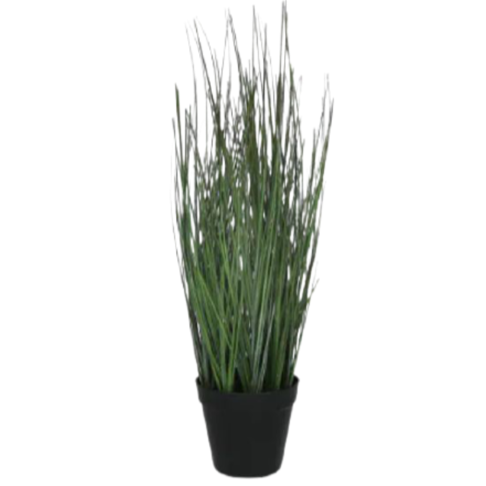 Artificial Grass in Pot