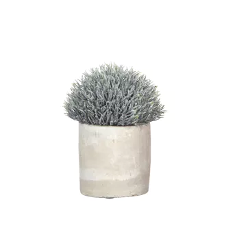 Artificial Plant pot. SALE PRICE