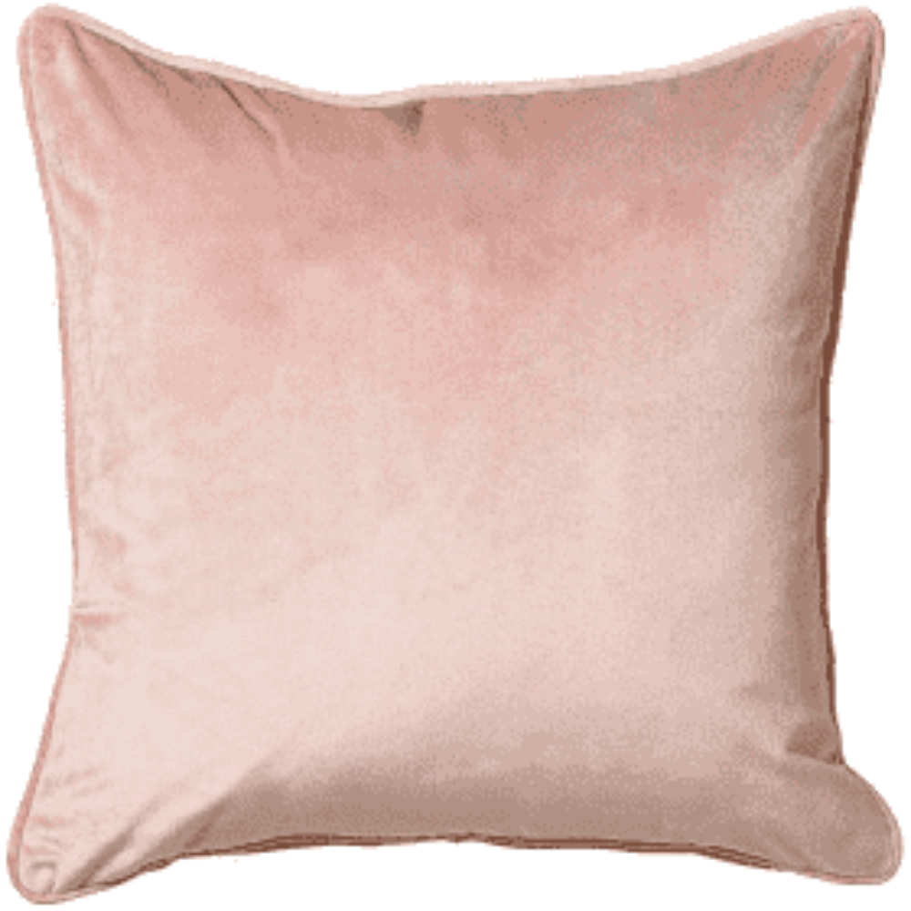 Bellingham  designer Velour Cushion with feather filling