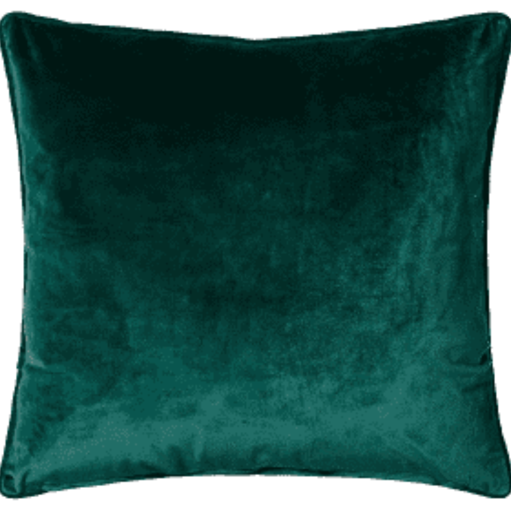 Bellingham  super designer Velour Cushion with feather filling